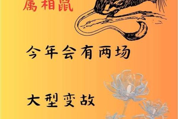 2026年属鼠的人事业运势如何会有重大转折点吗