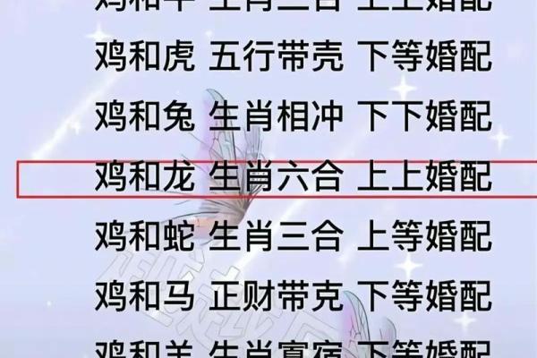 属相婚配中鼠女与虎男结合会不会经常吵架闹矛盾？