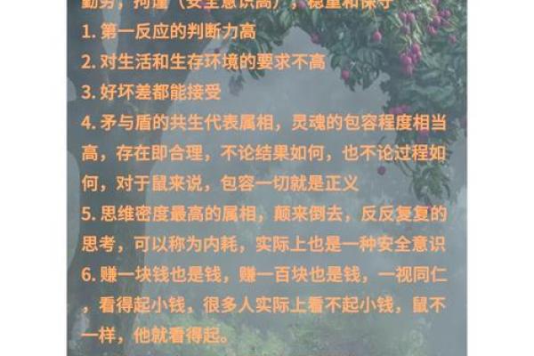 1984年属鼠五行属什么命格?性格特点与运势发展分析 1984年属鼠五行属什么命格?性格特点与运势发展分析