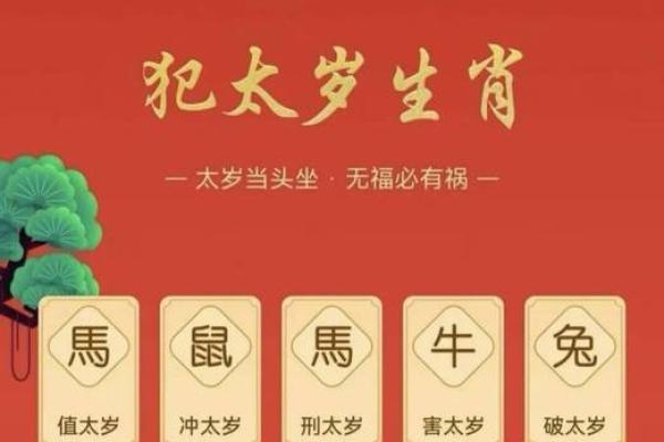 属鼠人2026年每月运势详解及全年运程完整版,需要注意哪些月份? 属鼠人2026年每月运势详解及全年运程完整版,需要注意哪些月份?