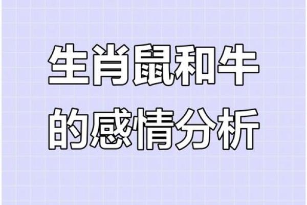1996年出生的属鼠人今日感情运势怎么样和伴侣相处要注意什么