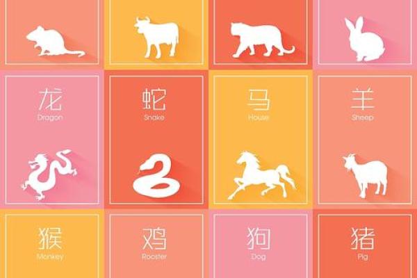 2026年属鼠人全年运势详解,事业财运健康感情每月运程完整版 2026年属鼠人全年运势详解,事业财运健康感情每月运程完整版