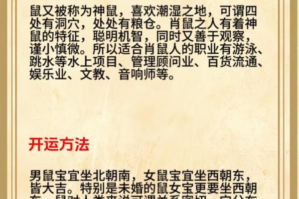 生肖属鼠的人2026年全年运势详解,财运健康事业感情如何发展? 生肖属鼠的人2026年全年运势详解,财运健康事业感情如何发展?