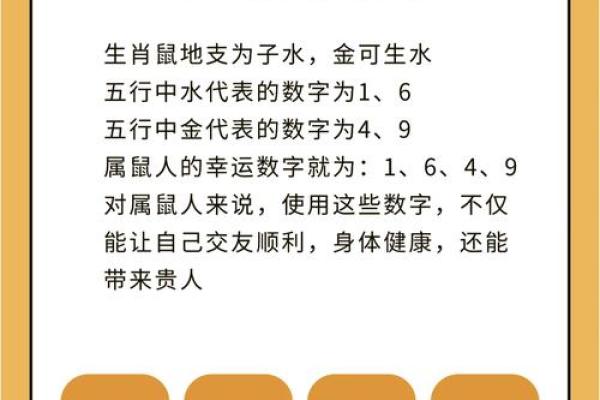 2008年出生的孩子是火鼠命吗？五行属性如何查询和补缺？
