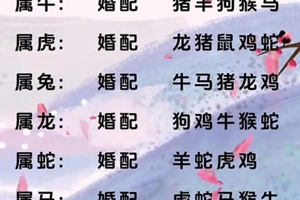 1984年属鼠人2023年全年运势详解及每月运程