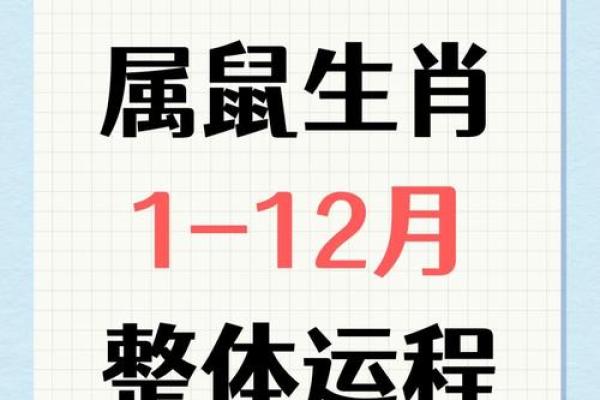 1972年出生的生肖鼠在2026年运势如何？需要注意哪些方面才能趋吉避凶？