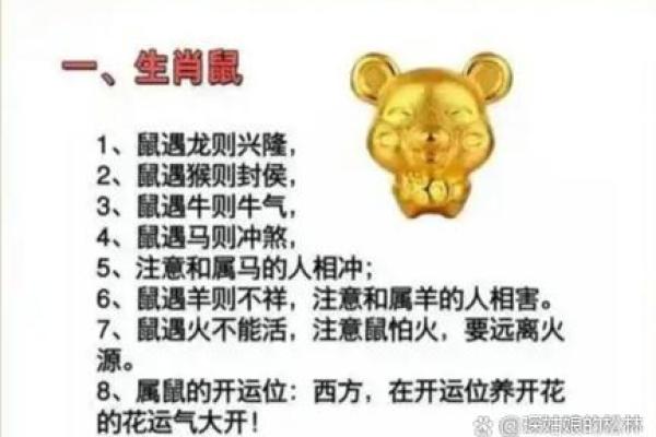 72年出生的属鼠男2026年全年财运如何，有哪些需要注意的破财风险？