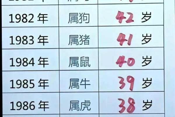 1996年2月5日出生的人属猪还是属鼠，生肖划分标准是什么？