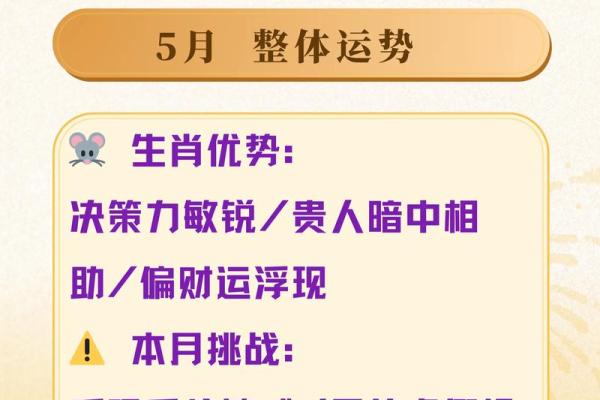 1984年属鼠女2026年运势详解全年运程完整版及每月注意事项 1984年属鼠女2026年运势详解全年运程完整版及每月注意事项