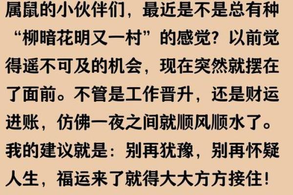 2026年属鼠人全年运势详解,财运健康事业感情全面解析 2026年属鼠人全年运势详解,财运健康事业感情全面解析