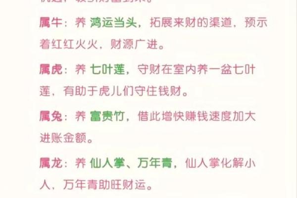 72年属鼠人幸运数字和财运方位解析，助你财运亨通