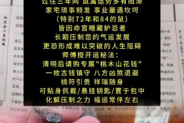 1984年出生的属鼠人40岁后财运详细解析与提升建议 1984年出生的属鼠人40岁后财运详细解析与提升建议