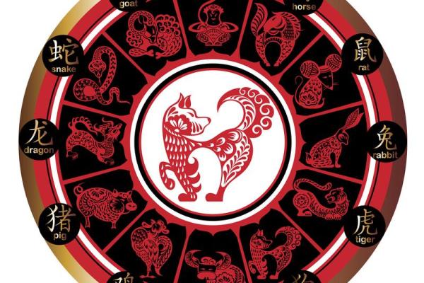 属鼠人2024年财运如何？正财和偏财哪个更旺？