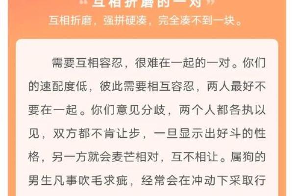 男属鸡和女属鼠的婚姻相配吗，性格和运势如何互补？