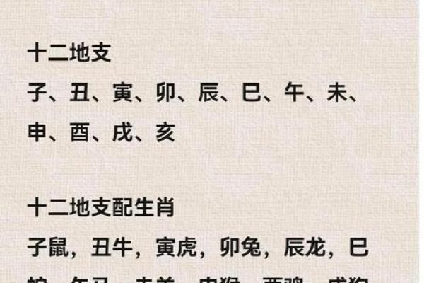 77岁属鼠人今年健康运势如何,需要注意哪些长寿养生秘诀? 77岁属鼠人今年健康运势如何,需要注意哪些长寿养生秘诀?