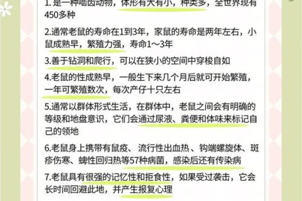 88岁高龄属鼠者2023年健康注意事项与化解建议 88岁高龄属鼠者2023年健康注意事项与化解建议