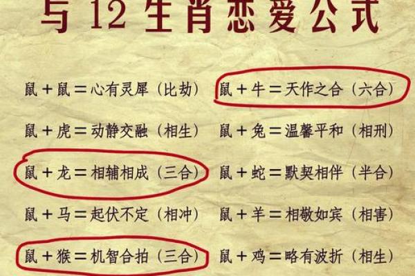 2026年属鼠人的全年运势详解,事业财运健康感情全面解析 2026年属鼠人的全年运势详解,事业财运健康感情全面解析