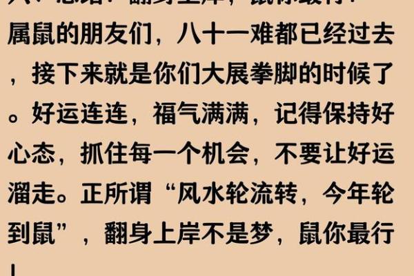 2024年属鼠人全年运势如何？事业突破点与注意事项分析