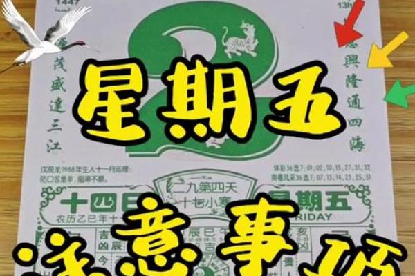 属鼠人今天感情运势和健康运程详解，需要注意哪些事项避免破财