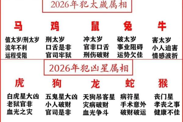 2026年属鼠人全年运势详解及每月运程完整版分析