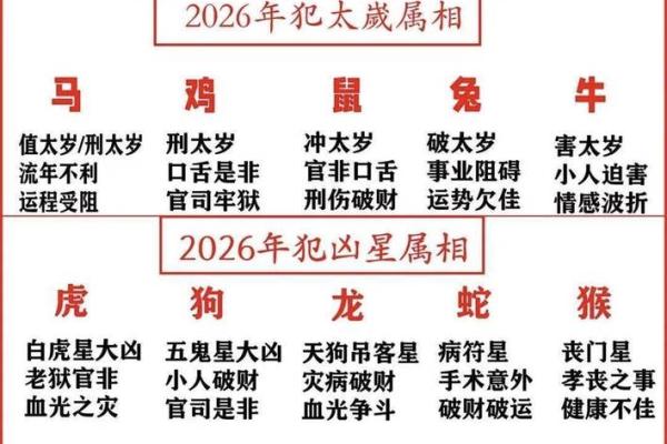 属鼠的人2026年整体运势如何财运方面会有大的突破吗