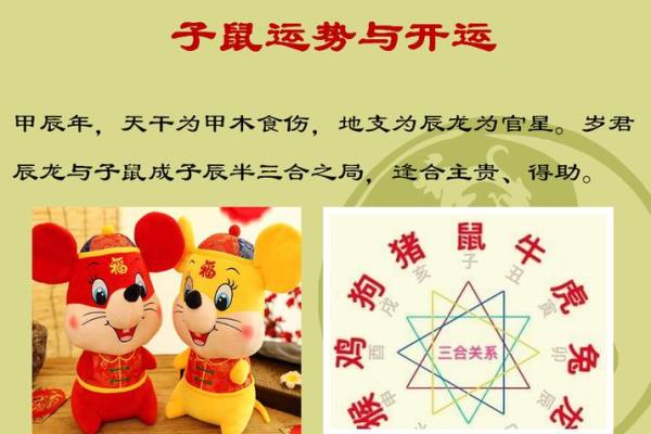 1972年出生的生肖鼠2024年龙年事业财运和健康运势如何