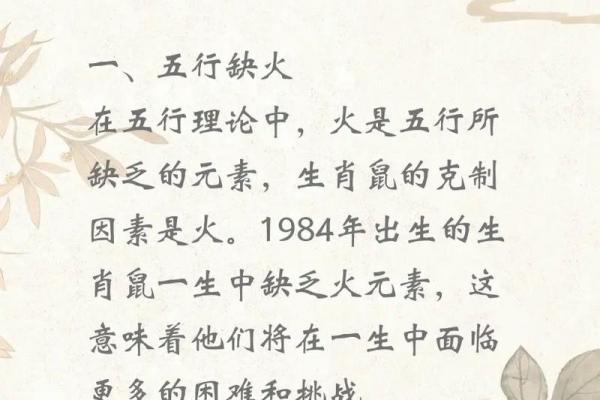 1984年属鼠人2026年全年运势详解，事业财运健康如何发展？