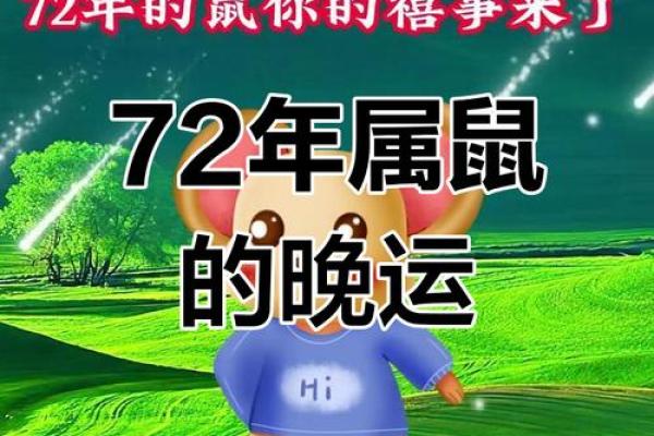 1972年属鼠人今天财运如何有没有好的投资机会 1972年属鼠人今天财运如何有没有好的投资机会
