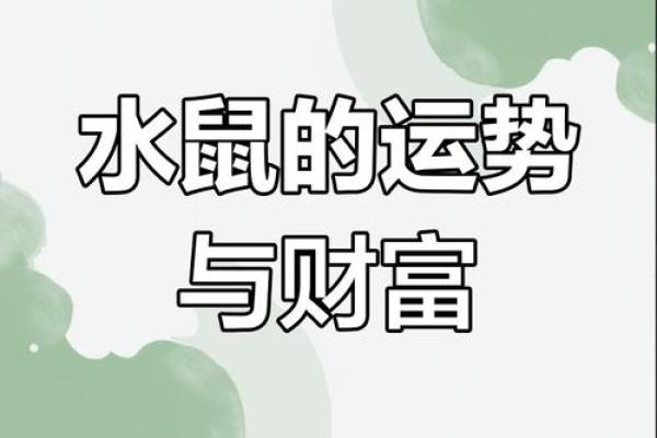 1972年属鼠人今天财运如何有没有好的投资机会 1972年属鼠人今天财运如何有没有好的投资机会