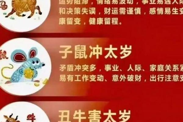 2026年属鼠人全年运势详解及每月运程完整版 2026年属鼠人全年运势详解及每月运程完整版