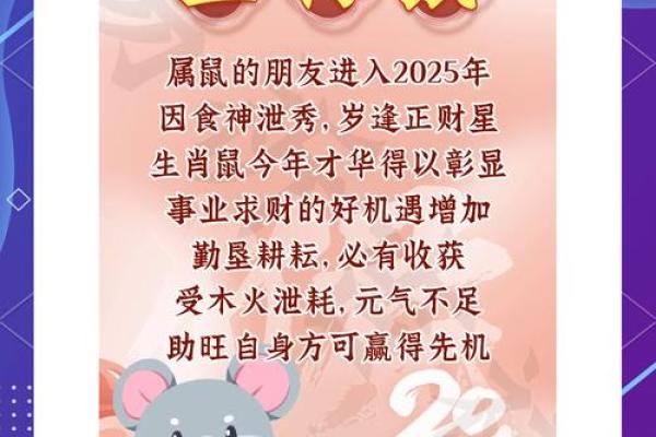 2008年出生的属鼠人一生学业运势与未来发展方向解析