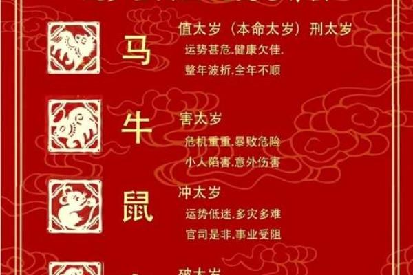 2026年属鼠的人在不同年份出生具体年龄计算指南