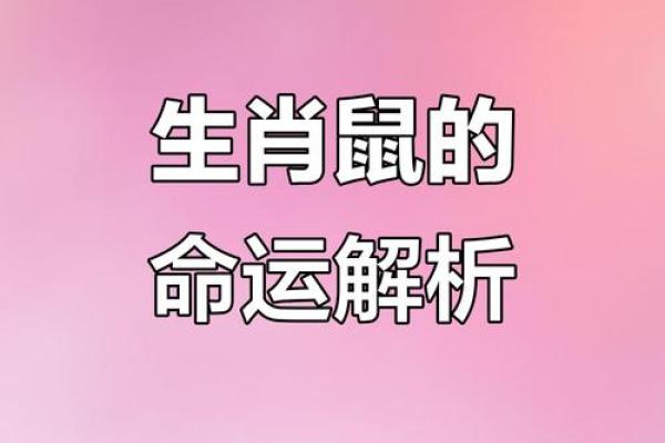 1972年属鼠女性2026年财运和事业运如何发展解析