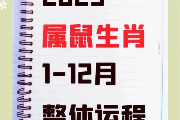 72年属鼠人2026年全年运势详解及每月运程完整版 72年属鼠人2026年全年运势详解及每月运程完整版