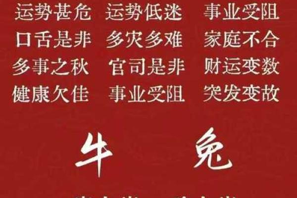 2026年鼠年本命年如何化解太岁及提升事业财运方法