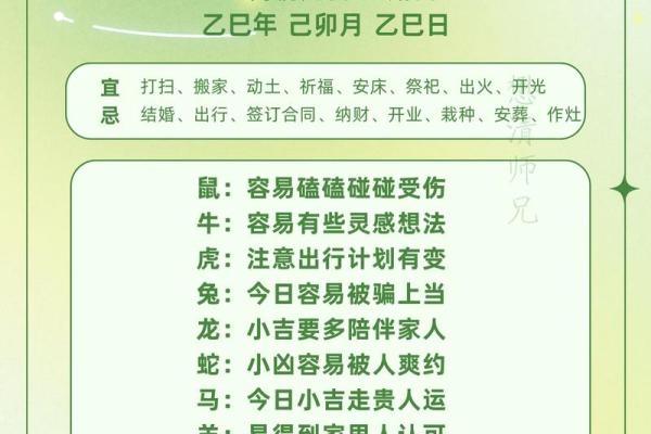 1996年属鼠人2026年运势详解，全年运程完整版解析