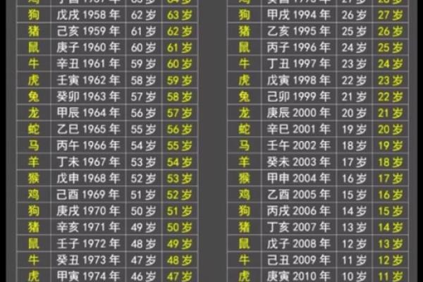 2026年属鼠的人虚岁和周岁分别多大如何区分 2026年属鼠的人虚岁和周岁分别多大如何区分