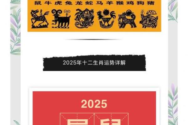 1960年属鼠人2024年每月运势详解及注意事项完整版 1960年属鼠人2024年每月运势详解及注意事项完整版