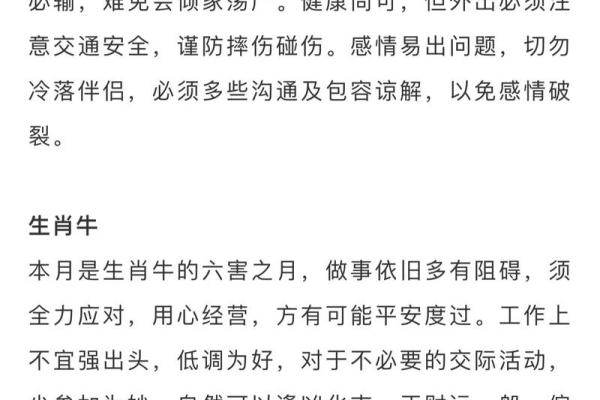 1972年属鼠人2026年全年运势详解及每月运程预测 1972年属鼠人2026年全年运势详解及每月运程预测