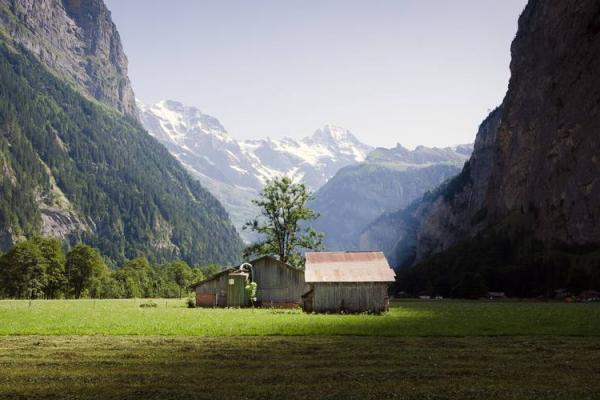 1996年属鼠人2026年全年运势详解，事业财运健康感情全面解析
