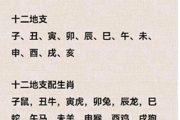 属鼠的人2026年全年运势详解，财运健康事业感情全面解析