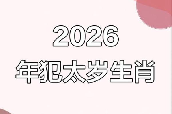 生肖鼠2026年犯太岁吗？如何化解流年不利提升运势指南