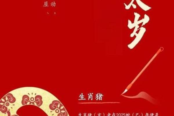 2026年1972年出生属鼠人财运健康事业三方面运势预测 2026年1972年出生属鼠人财运健康事业三方面运势预测