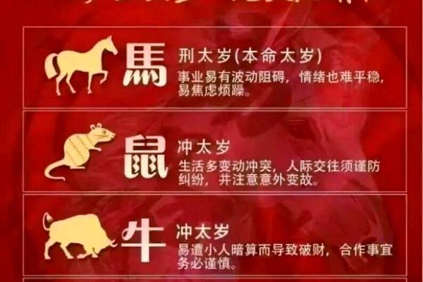 1984年出生的属鼠人2026年每月运程和注意事项