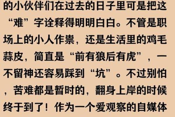 1960年出生属鼠人士2024年每月运程预测，重点注意事项提醒