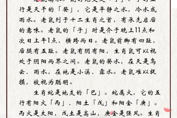 属鼠人2026年全年运势详解及每月运程完整版