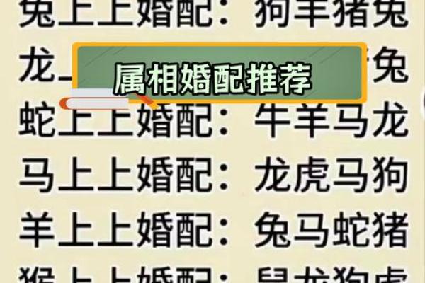 1996年属鼠的姻缘如何?最佳婚配属相和注意事项 1996年属鼠的姻缘如何?最佳婚配属相和注意事项