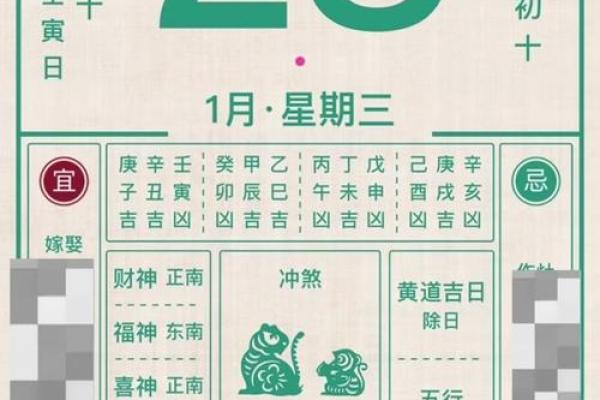 2008年属鼠人2026年运势详解，全年学业健康运程完整解析