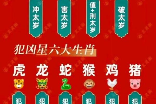 2026年属鼠人的全年运势详解，事业财运和感情健康运程全面解析