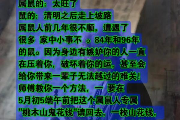 1984年属鼠男性2026年每月运势详解及运程完整版